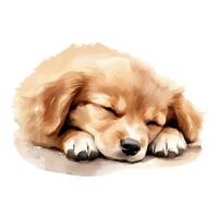 acuarela dormido perro. vector ilustración con mano dibujado cachorro. acortar Arte imagen.
