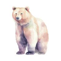 Watercolor brown bear. Vector illustration with hand drawn bear animal. Clip art image.