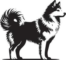 Yakutian Laika vector silhouette illustration black color 16