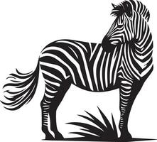 Zebra animal vector silhouette 2