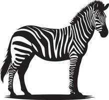 Zebra animal vector silhouette 14