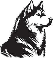 Siberian husky dog vector silhouette 17