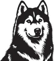 Siberian husky dog vector silhouette 10