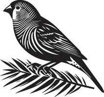 Zebra Finch bird vector silhouette 9
