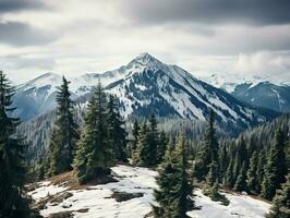 Pine trees on snow covered mountain Magical winter forest. Natural landscape with beautiful sky photo