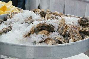 Bivalve fresh raw oysters in bucket with crushed ice and slices of lemon at seafood restaurant. Gourmet appetizer. Luxury dish for party. French cuisine at local market. Street food festival photo