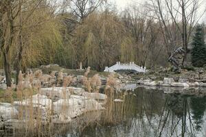 Bridge in chinese traditional stone garden. Green plants and rocks in oriental forest. Decorative shrub for landscaping in Asian style. Zen garden with grass and pebbles. Marble rockery stone photo