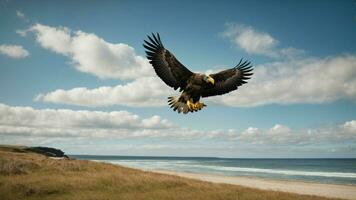 A beautiful summer day with blue sky and a lone Steller's sea eagle over the beach AI Generative photo