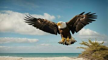 A beautiful summer day with blue sky and a lone Steller's sea eagle over the beach AI Generative photo