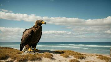 A beautiful summer day with blue sky and a lone Steller's sea eagle over the beach AI Generative photo