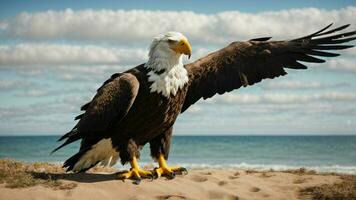 A beautiful summer day with blue sky and a lone Steller's sea eagle over the beach AI Generative photo