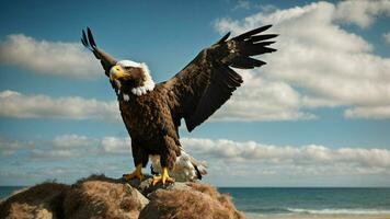 A beautiful summer day with blue sky and a lone Steller's sea eagle over the beach AI Generative photo