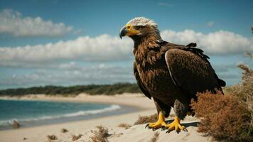 A beautiful summer day with blue sky and a lone Steller's sea eagle over the beach AI Generative photo