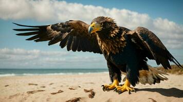 A beautiful summer day with blue sky and a lone Steller's sea eagle over the beach AI Generative photo