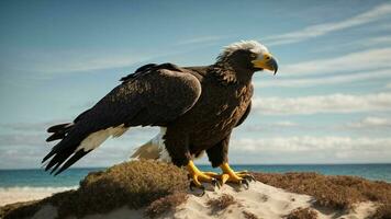 A beautiful summer day with blue sky and a lone Steller's sea eagle over the beach AI Generative photo