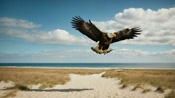 un hermosa verano día con azul cielo y un solitario de Steller mar águila terminado el playa ai generativo foto