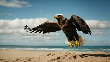 A beautiful summer day with blue sky and a lone Steller's sea eagle over the beach AI Generative photo