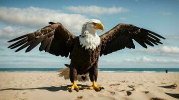 un hermosa verano día con azul cielo y un solitario de Steller mar águila terminado el playa ai generativo foto
