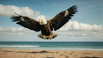 un hermosa verano día con azul cielo y un solitario de Steller mar águila terminado el playa ai generativo foto