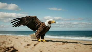 A beautiful summer day with blue sky and a lone Steller's sea eagle over the beach AI Generative photo