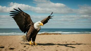 A beautiful summer day with blue sky and a lone Steller's sea eagle over the beach AI Generative photo