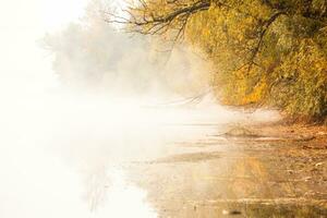 Morning landscape in autumn country and with fog in Ukraine. Beautiful nature with yellow trees and fog. photo