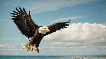 A beautiful summer day with blue sky and a lone Steller's sea eagle over the beach AI Generative photo