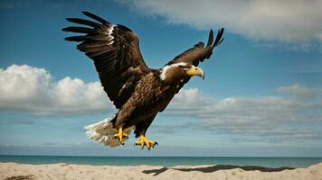 A beautiful summer day with blue sky and a lone Steller's sea eagle over the beach AI Generative photo