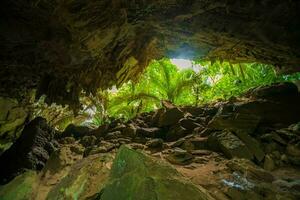 el arboles paisaje encontró en el cueva conocido como hup Pensilvania hacer encaje. invisible en tailandia foto