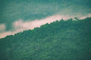 The stunning view from a tourist's standpoint as they go down a hill on a foggy trail with a hill and a background of a golden sky in Forest Park, Thailand. Bird's eye view. Aerial view. photo