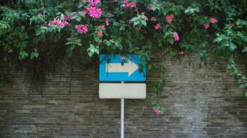 The right arrow traffic sign is decorated with bougenville flowers with granit wall background photo