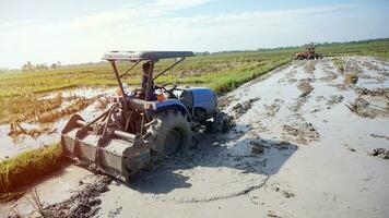 The tractor is plowing a muddy field with sunlight and blue sky photo