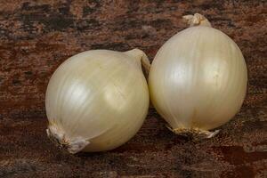 Ripe white onion photo