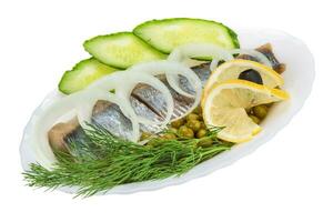 Herring with dill and onion photo