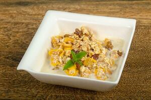 Muesli in the bowl photo