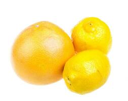 Fruits citrus isolated photo
