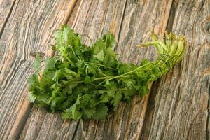 Green coriander leaves herb heap photo