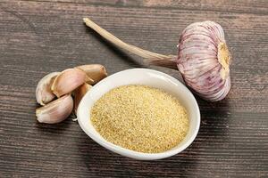 Dry granulated garlic aroma seasoning photo