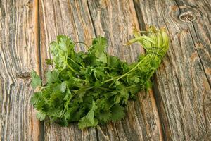 Green coriander leaves herb heap photo