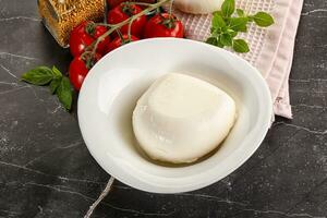 Italian cheese mozzarella buffalo ball photo