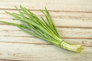 Raw young green onion heap photo