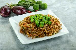 Stir fried noodles with chicken photo