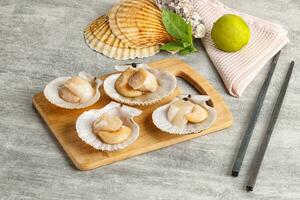 Raw natural scallop in its shell photo