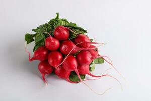 Ripe sweet juicy radish heap photo