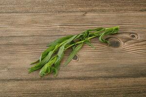 Green tarragon herb spice for cooking photo