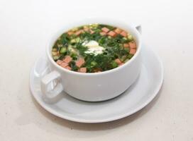 ssian kvas sopa con Cortado vegetales y carne aislado en blanco foto