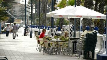 torrox, España, 2020, personas sentado en el terraza de un bar en un caminar uno soleado Mañana. video