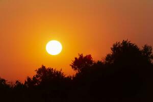 sun going down behind trees at sunset photo