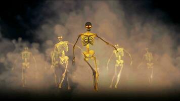 esqueletos ese ven caminando hacia el cámara desde el niebla video