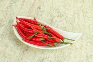 Hot and spicy chili pepper photo